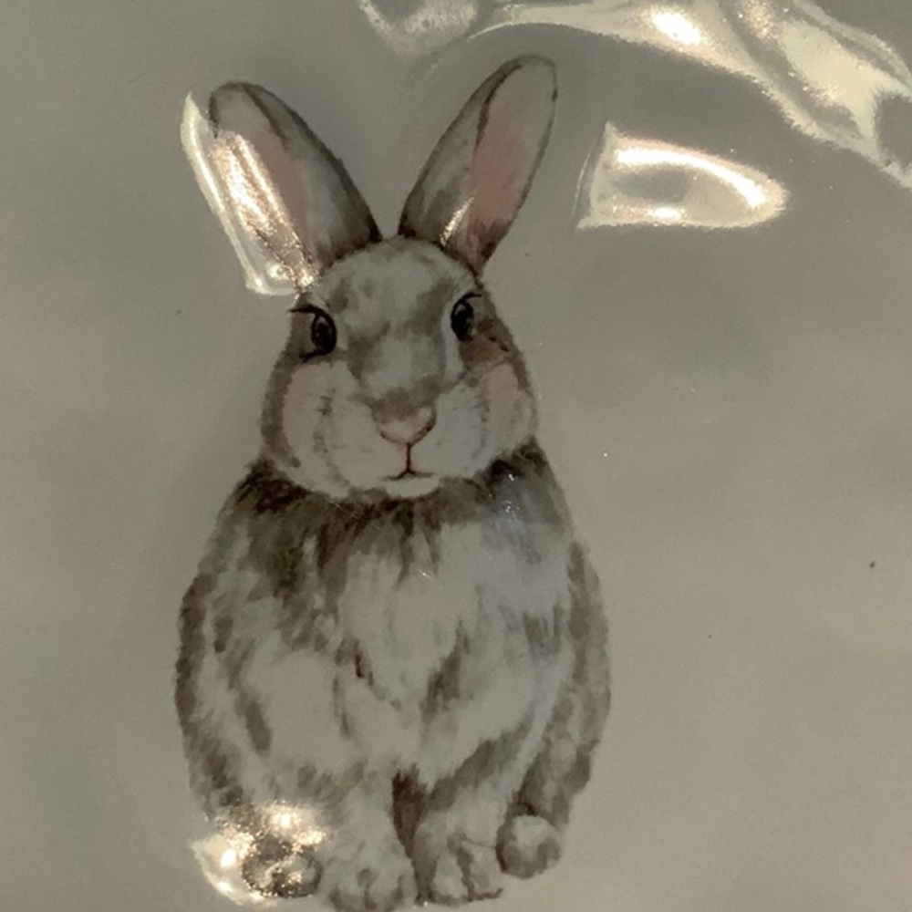 Williams Sonoma White Ceramic bunny plates - Picture 2 of 3